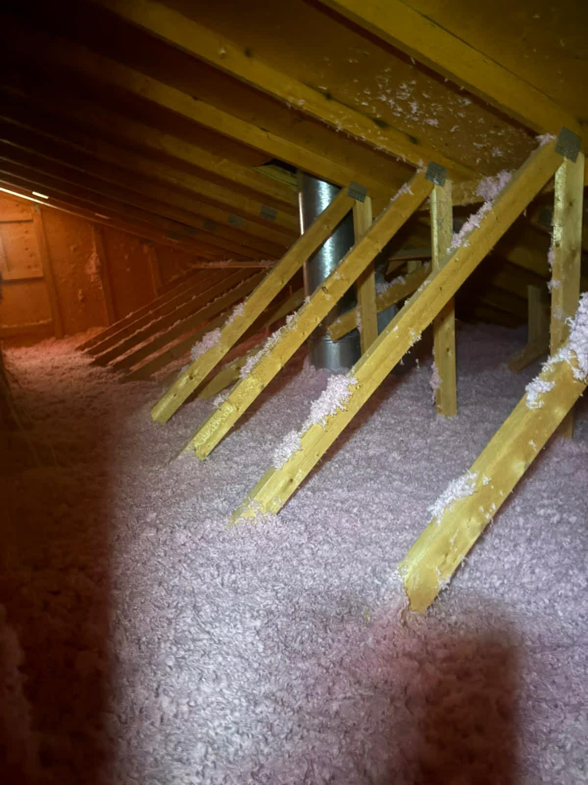 NorthernShield Insulation calgary